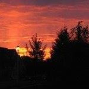 Meet your Posher, Joe